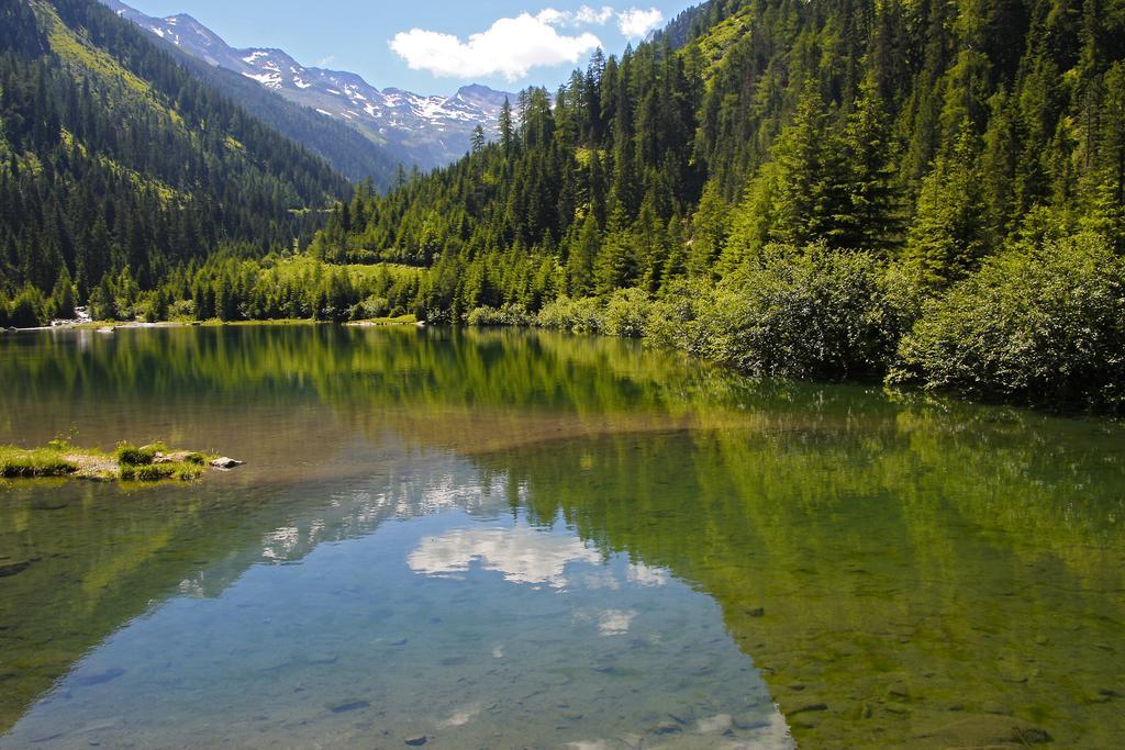 Pension Oberbraeu Mittersill Exteriér fotografie